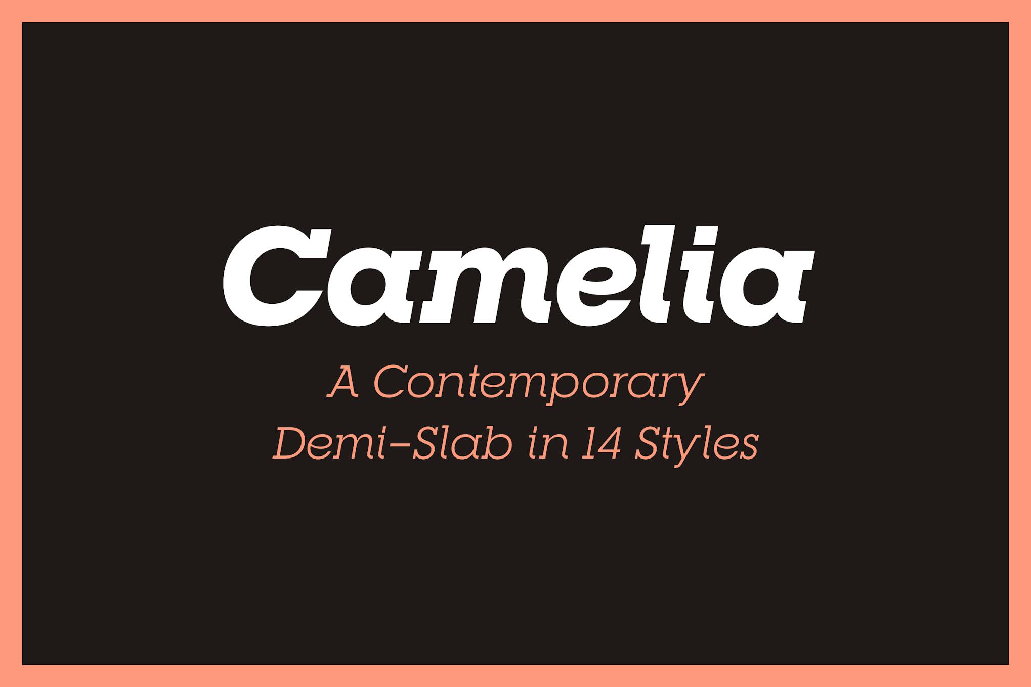 Imagen de portada de RNS Camelia (fuente)