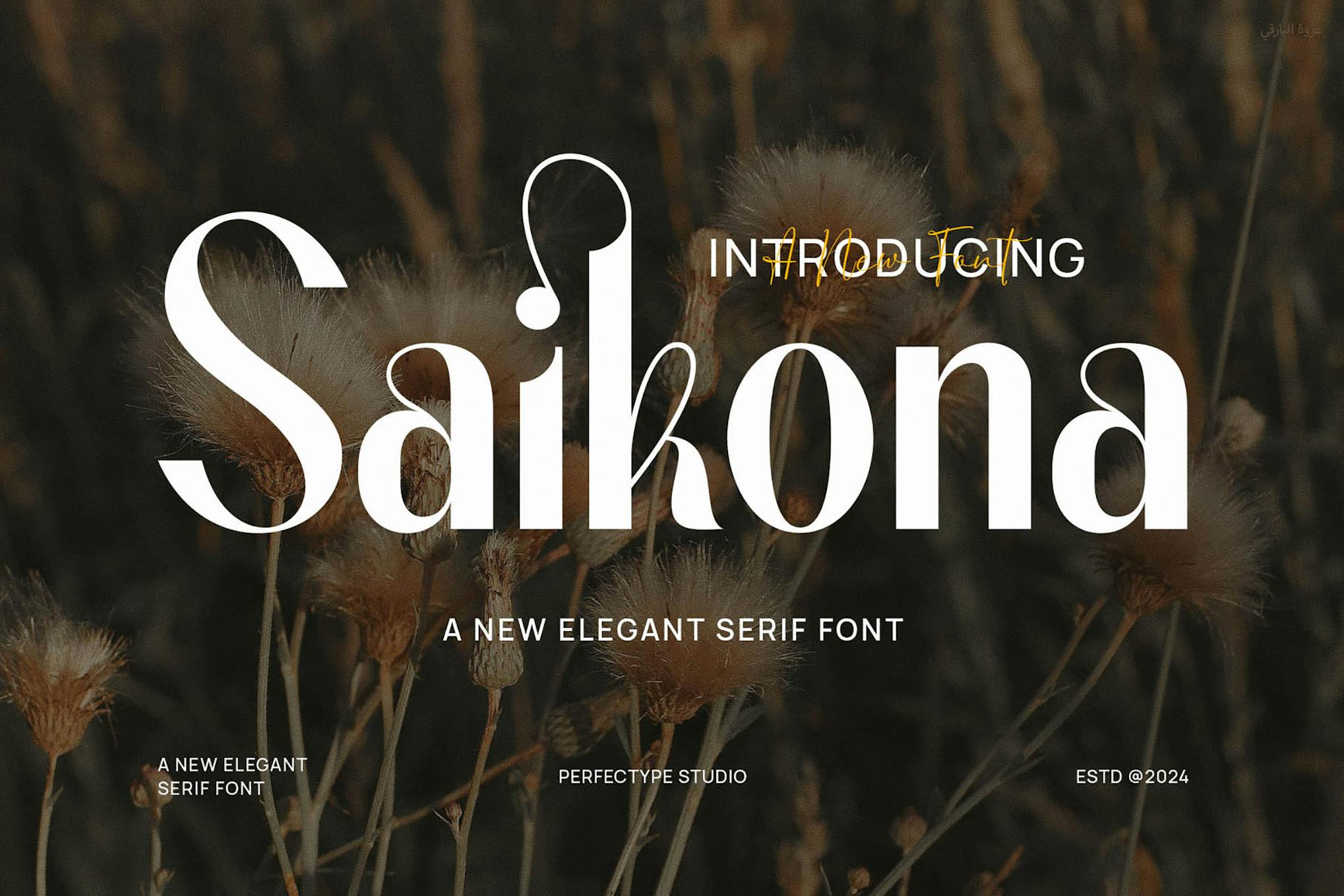Imagen de portada de Saikona Elegant Sans Serif Font Typeface (fuente)