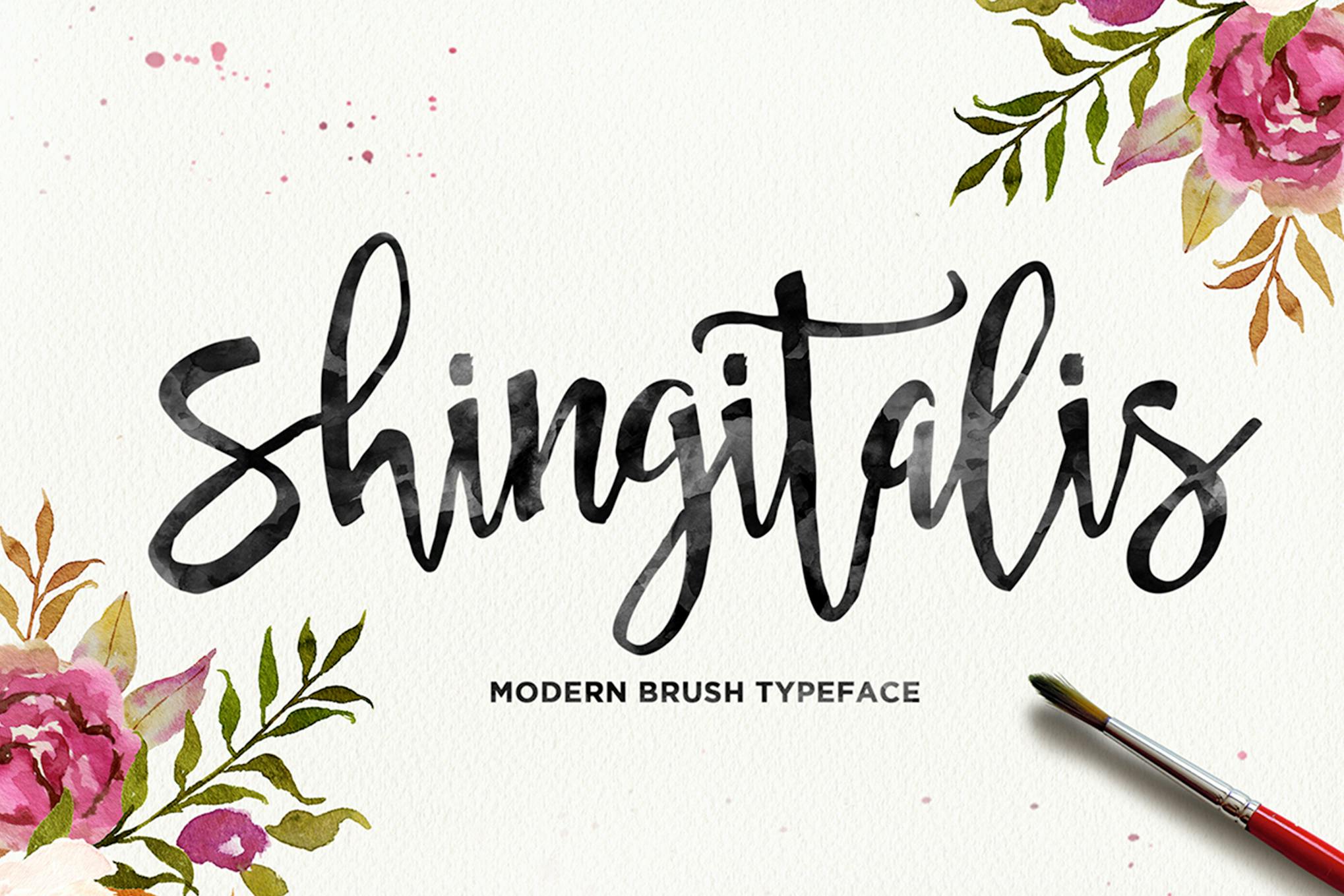 Imagen de portada de Shingitalis Typeface (fuente)