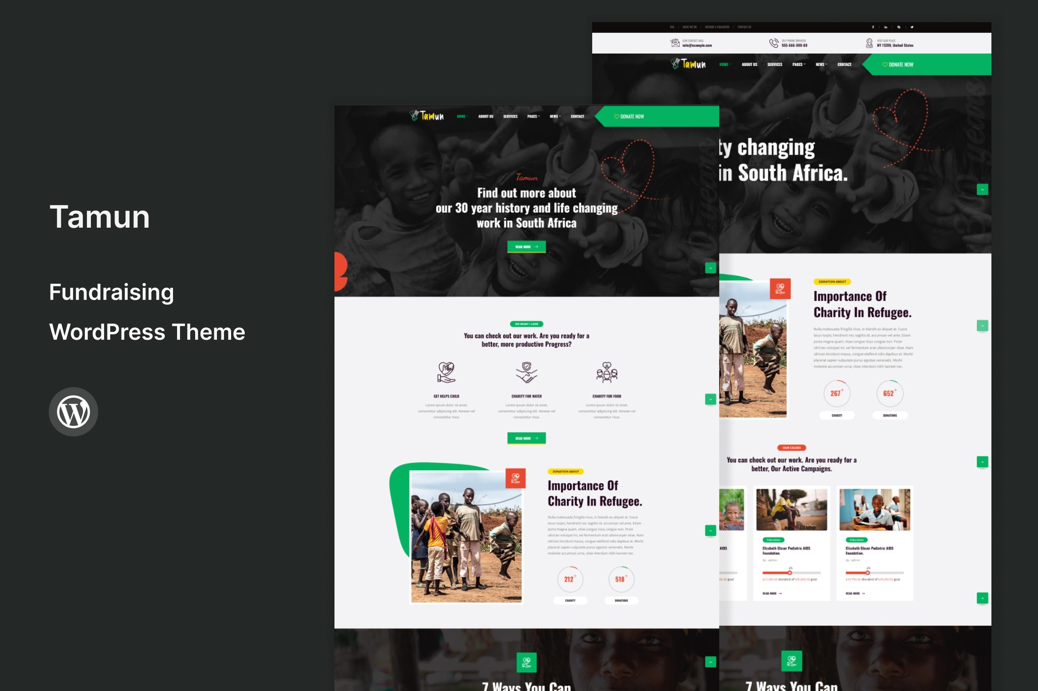Imagen de portada de Tamun - Fundraising WordPress Theme (tema)