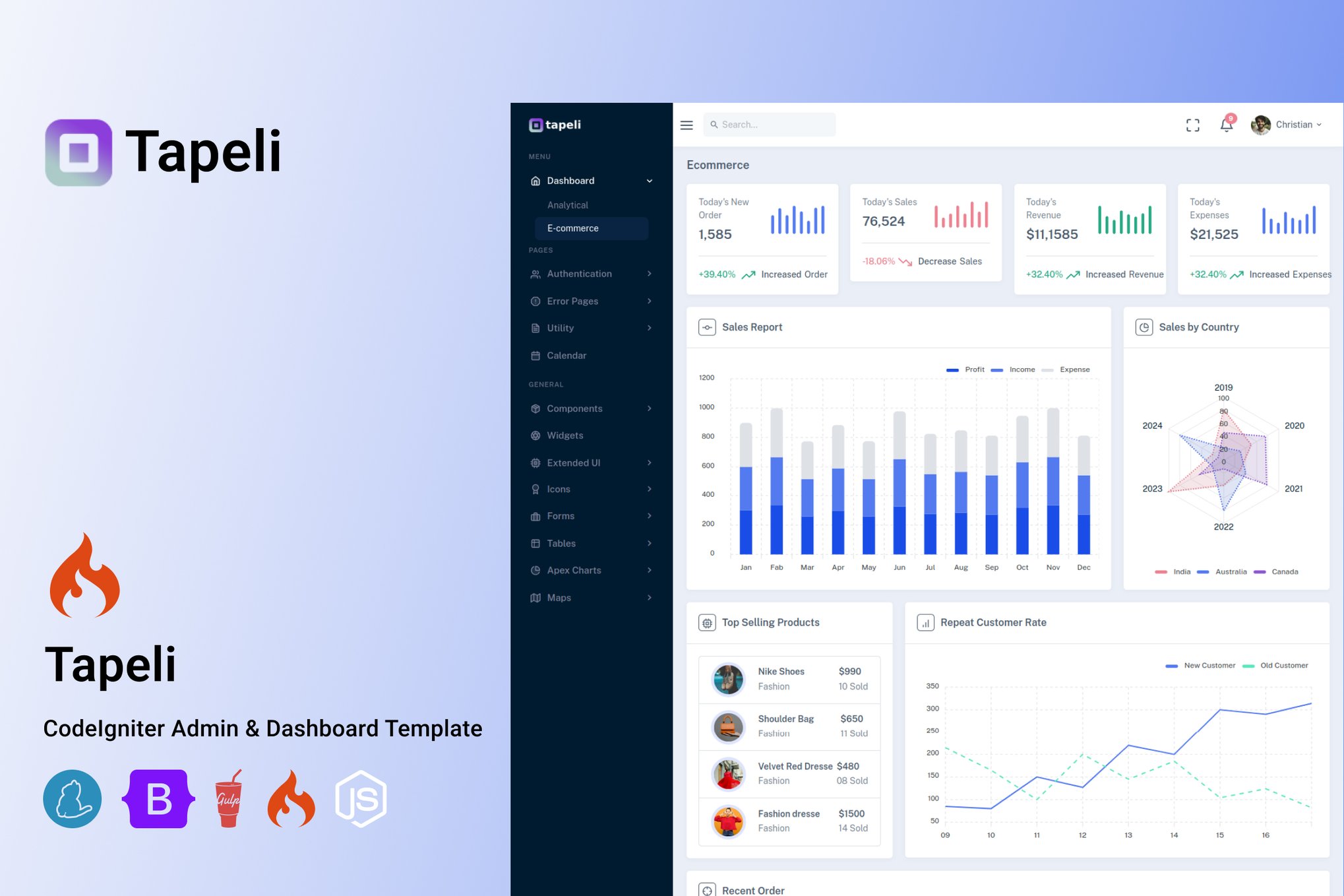 Imagen de portada de Tapeli - CodeIgniter Admin Dashboard Template. (plantilla web)