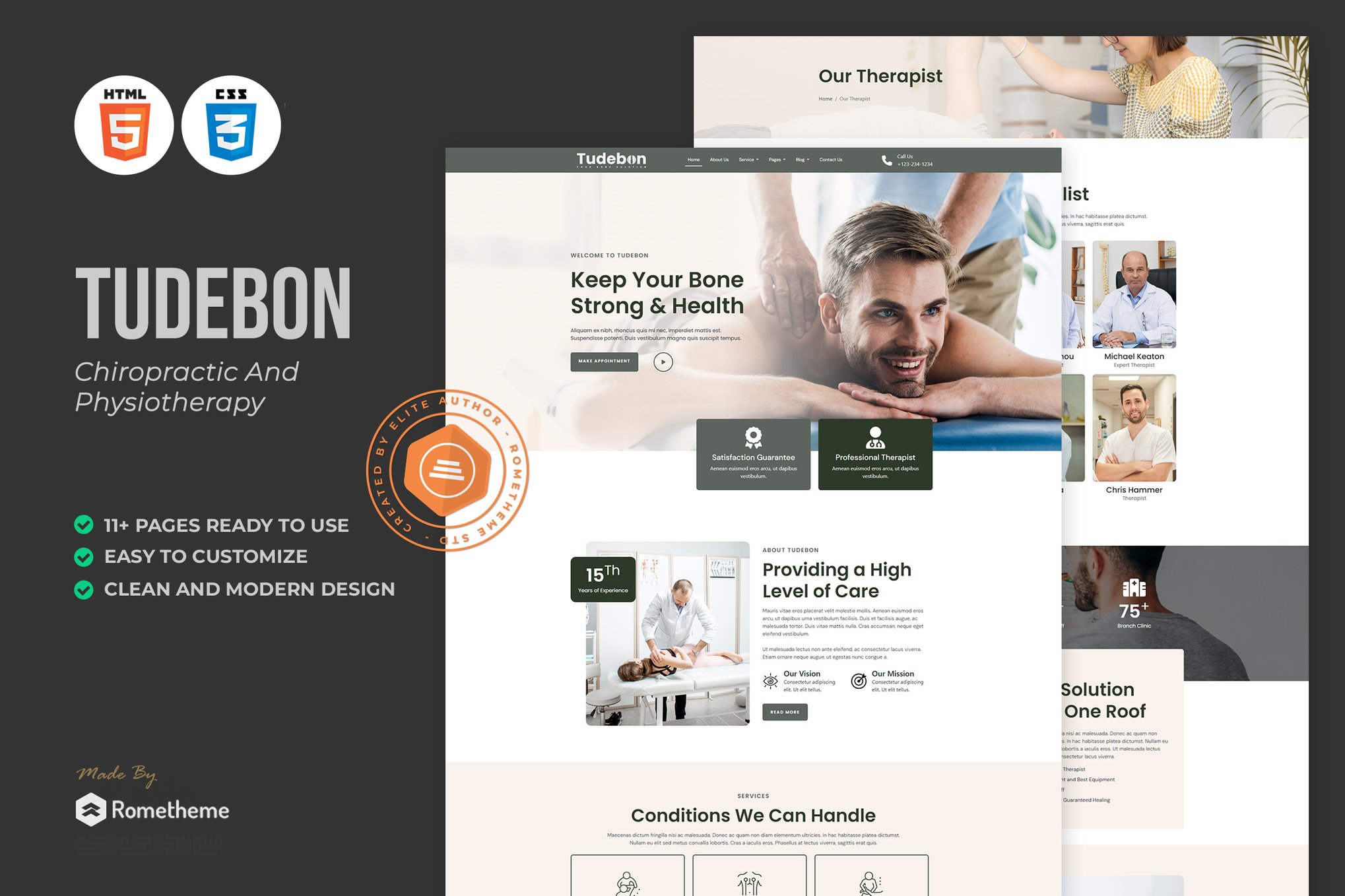 Imagen de portada de Tudebon - Chiropractic Physiotherapy HTML Template (plantilla web)