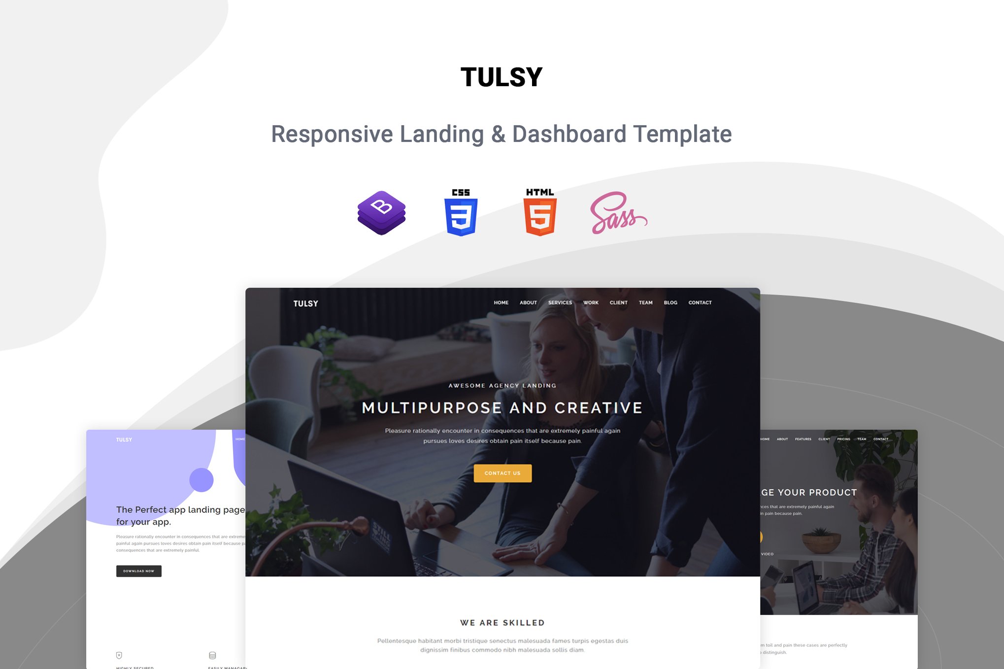 Imagen de portada de Tulsy - Multipurpose Landing Page Template (plantilla web)