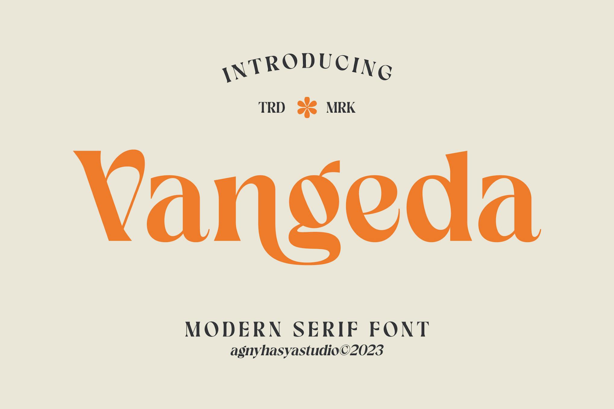 Imagen de portada de Vangeda - Modern Serif Font (fuente)
