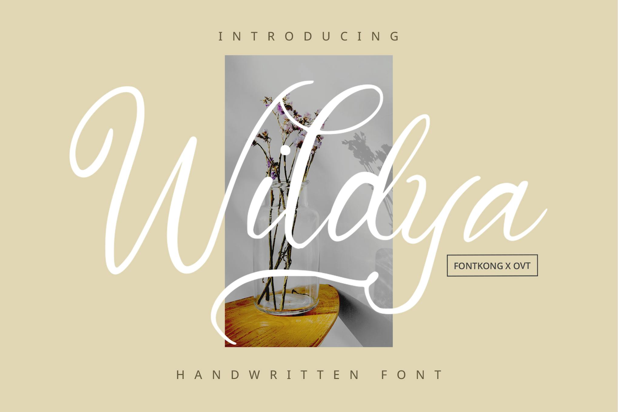 Imagen de portada de Wildyaa - Handwritten Font (fuente)